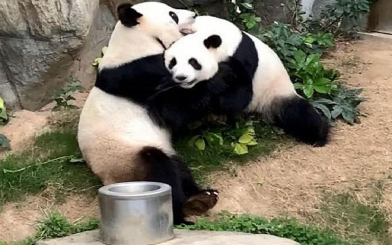 科技引領抗疫新時代，全球最新疫情概況