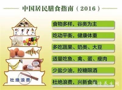 最新居民膳食指南,最新居民膳食指南，小巷深處的隱藏美食寶藏探秘
