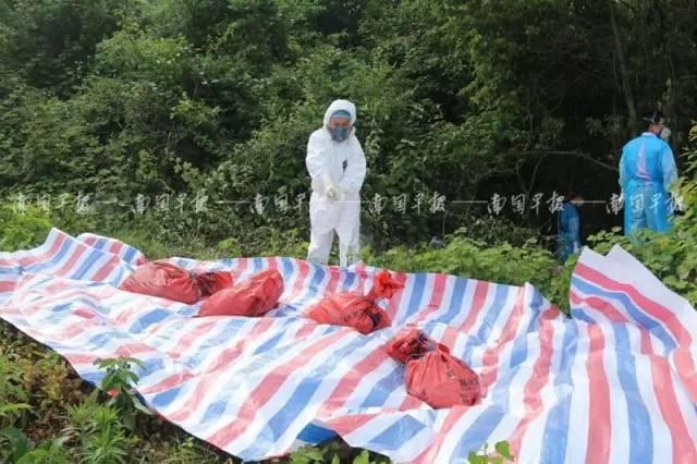 廣西自然美景治愈之旅，探索自然魅力的探索之旅