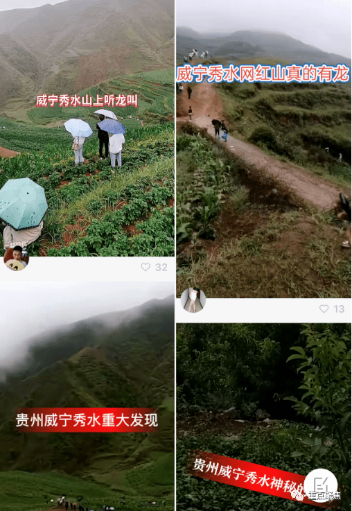 秀水龍叫的日常趣事與情感紐帶，最新動(dòng)態(tài)揭秘！
