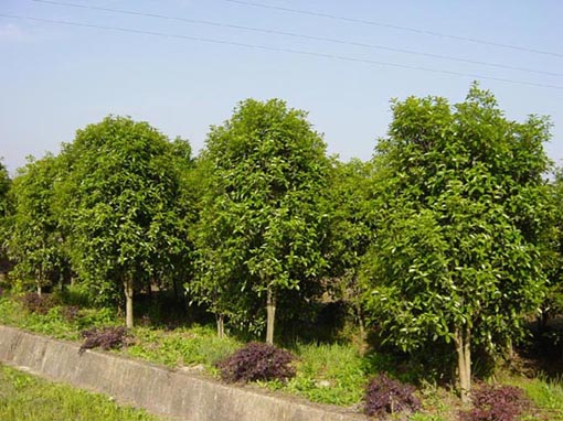 石家莊隔墻板 第481頁