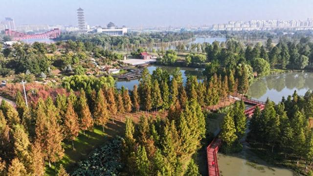 揚(yáng)州三灣濕地公園最新進(jìn)展揭秘，價值與影響深度透視