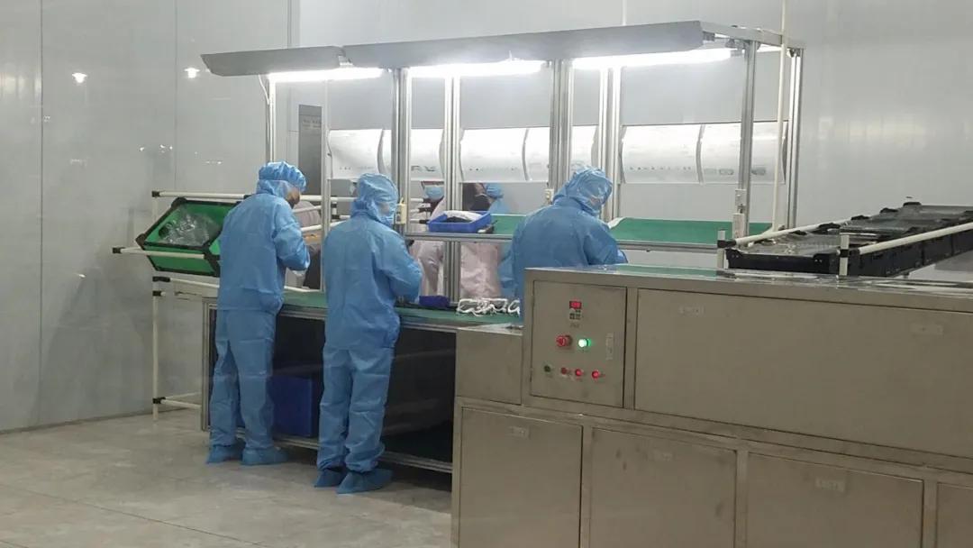 模具主管最新招聘信息，開啟職場卓越之路，擁抱變化成就夢想！