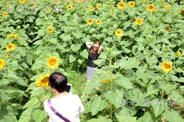 濟南隔墻板 第470頁