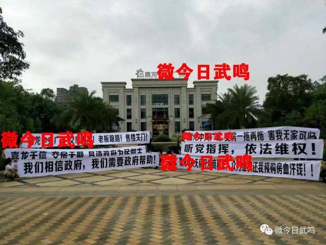 武鳴里建最新房價(jià)，背景、動(dòng)態(tài)、地位及全面解析