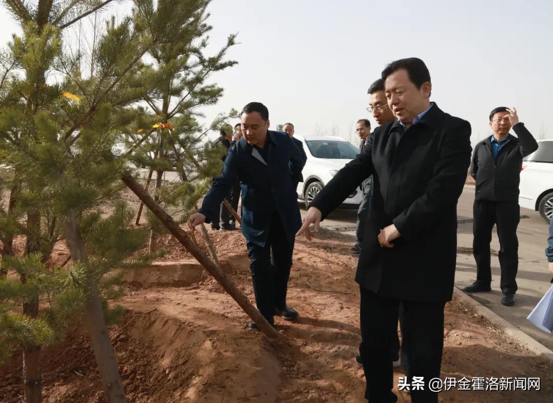 馬泰豪煤礦最新動態(tài)，引領(lǐng)行業(yè)變革，推動可持續(xù)發(fā)展進程