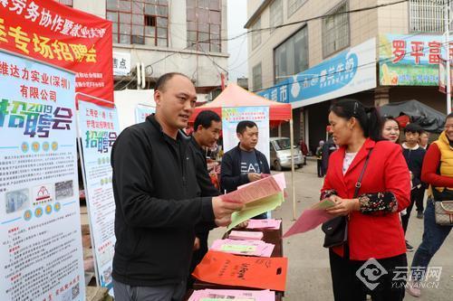 羅平最新招聘啟航，啟程探索自然美景之旅！