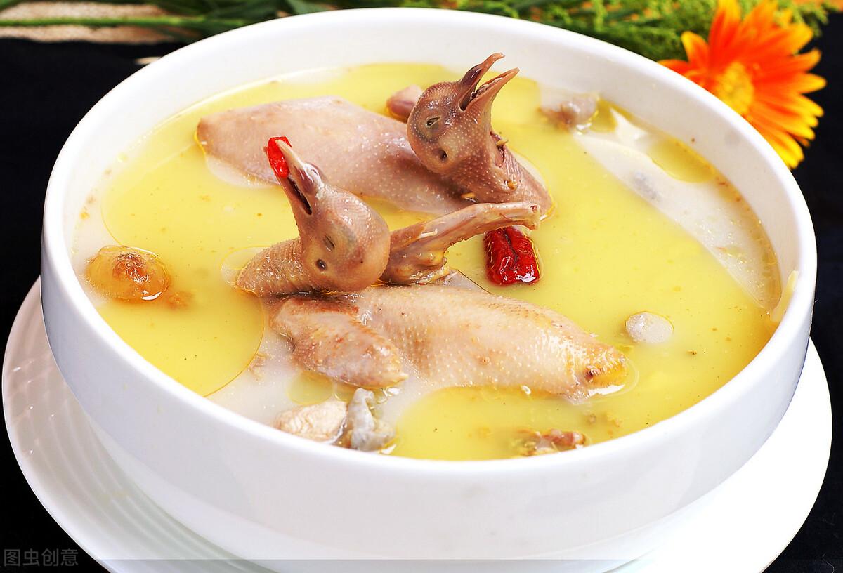 鴿子價(jià)格揭秘，探索心靈之旅的開端