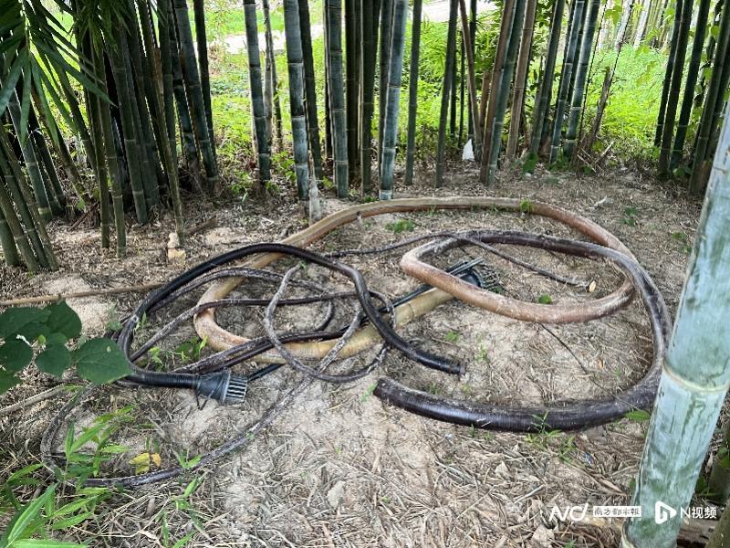 惠州挖機(jī)招聘最新信息及自然美景探索，尋求內(nèi)心寧?kù)o與平和的旅程