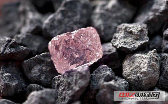 鐵礦石今日最新價(jià)格動(dòng)態(tài)及分析??