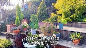 同煤吧最新動態(tài)，學(xué)習(xí)變化與自信塑造未來