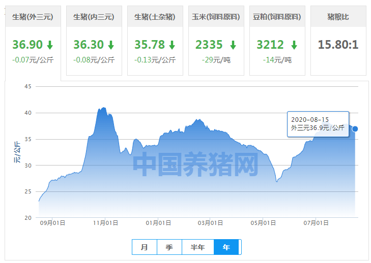 2025年新澳開獎(jiǎng)結(jié)果,處于迅速響應(yīng)執(zhí)行_文化版62.261