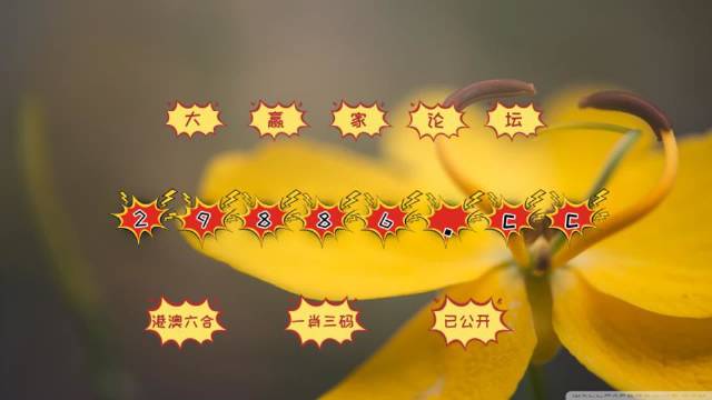 新澳門4949六開彩,實(shí)證分析詳細(xì)枕_專業(yè)版62.791