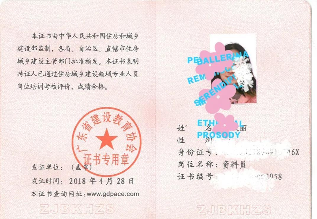 最新教育通知，探索自然美景之旅，尋找心靈平和的旅程
