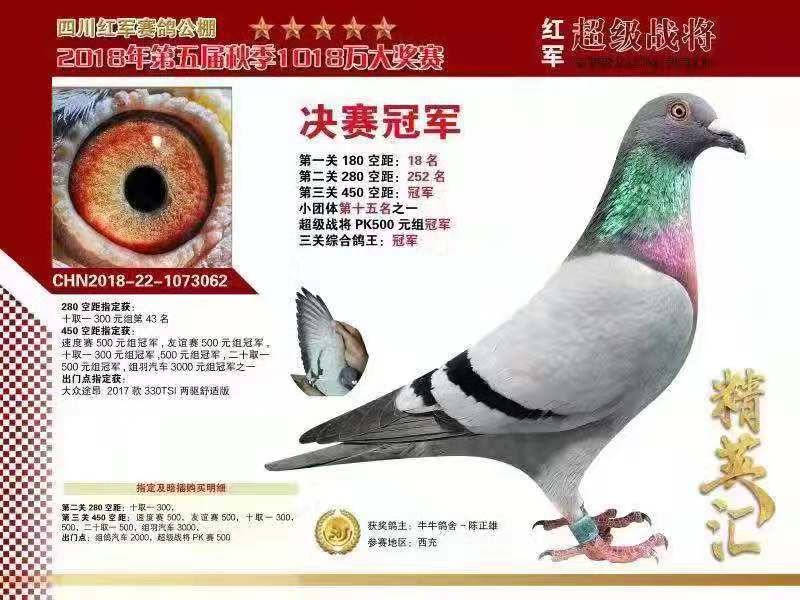 紅軍公棚最新公告發(fā)布，關(guān)注最新動(dòng)態(tài)與公告信息