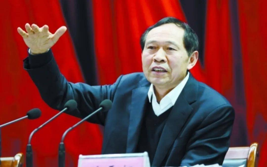 洛陽陳雪楓最新動(dòng)態(tài)揭秘，小巷深處的獨(dú)特風(fēng)情體驗(yàn)