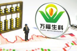 萬福生科上市步驟詳解，初學(xué)者與進階用戶指南