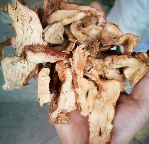 玉林小良姜最新價(jià)格及市場走勢(shì)與影響因素深度解析