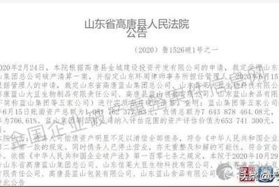 高唐藍(lán)山存款最新動(dòng)態(tài)更新！