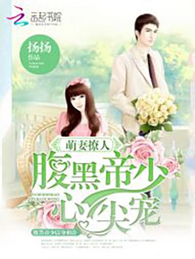 揚揚最新小說許靜寒，深度探索故事魅力與情感世界