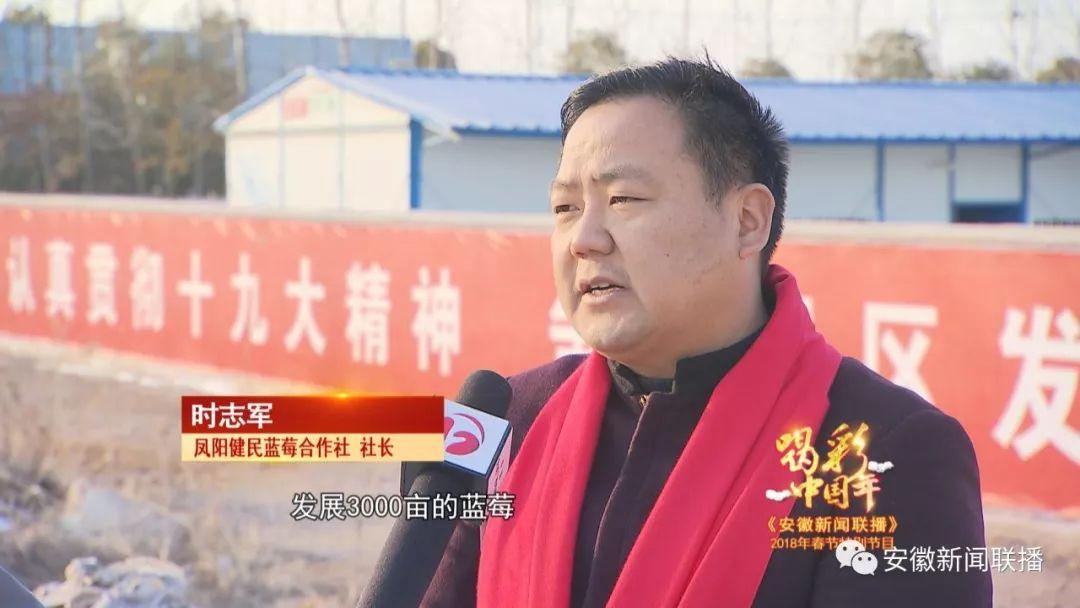 鳳陽新聞動(dòng)態(tài)，勵(lì)志故事傳遞自信與成就感源泉，正能量與幽默并存
