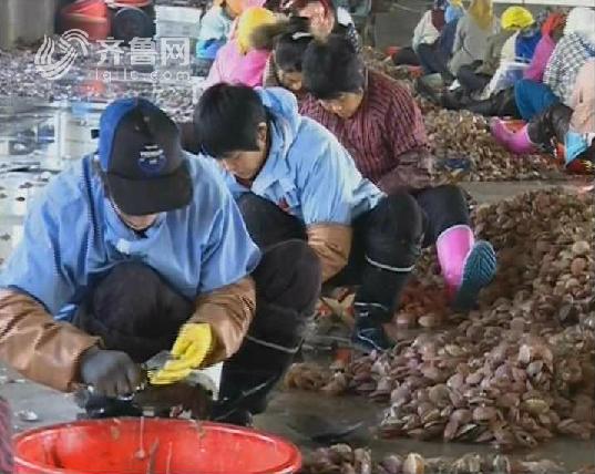 萊州招工趕集最新消息速遞