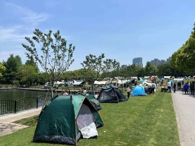 浦東20路最新時(shí)刻表揭秘，探尋小巷中的美食之旅