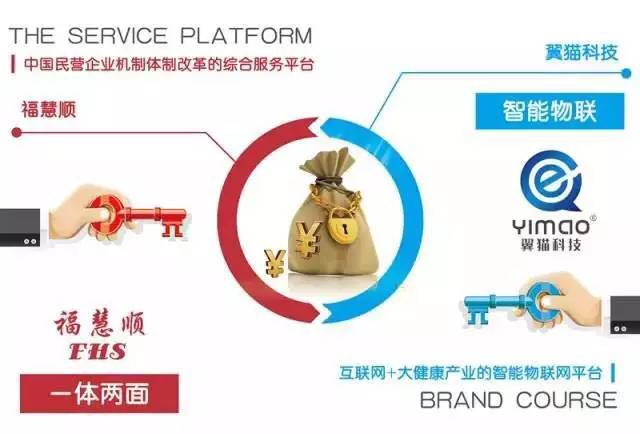 ?；垌槃④娮钚聞討B(tài)揭秘，小巷中的獨(dú)特風(fēng)味
