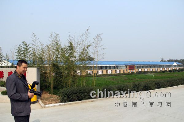萬佳公棚最新公告揭曉未來發(fā)展新篇章