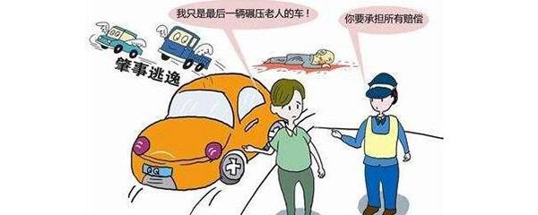 交通肇事逃逸最新法律規(guī)定，變化中的自信與成長之路
