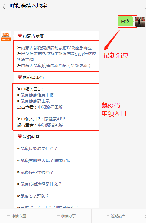 溫情與陪伴的力量，疫情下的內(nèi)蒙古日常與最新消息