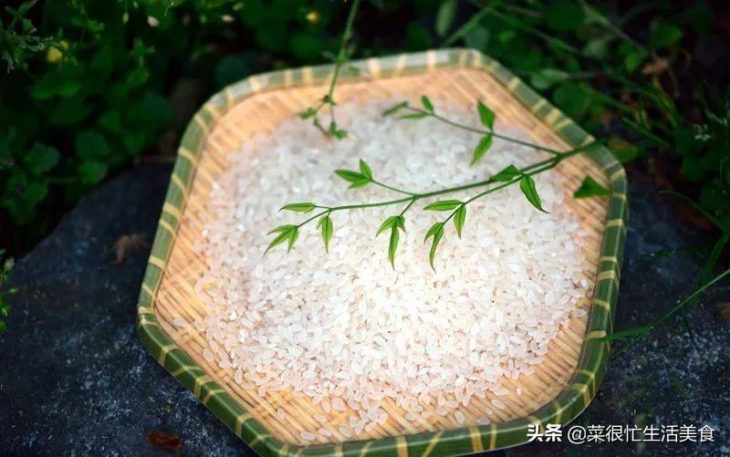 熱門兒歌變遷概覽，最新排名與影響分析