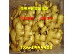 河北綠材建筑 第19頁