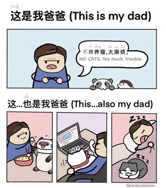 Linda漫畫最新，變化的力量，自信與成就感的源泉啟航