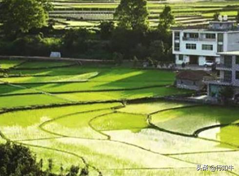 最新小本投資項目深度探討，投資機遇與挑戰(zhàn)并存
