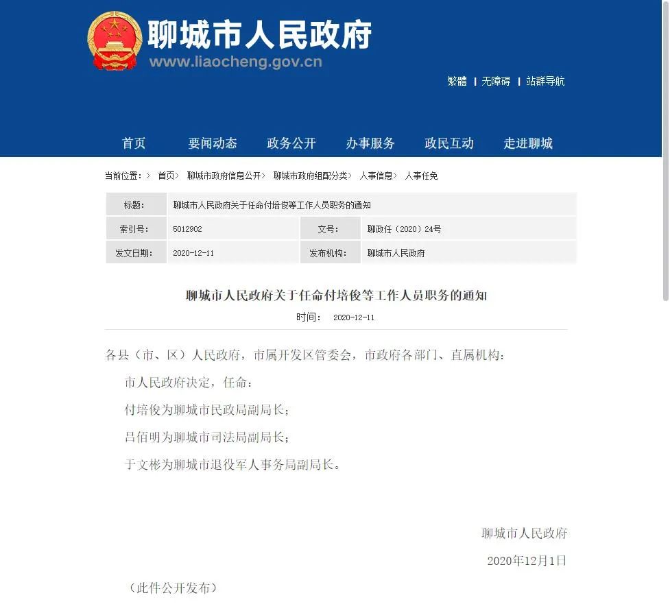 最新聊城人事任免，重塑團(tuán)隊(duì)，展望未來