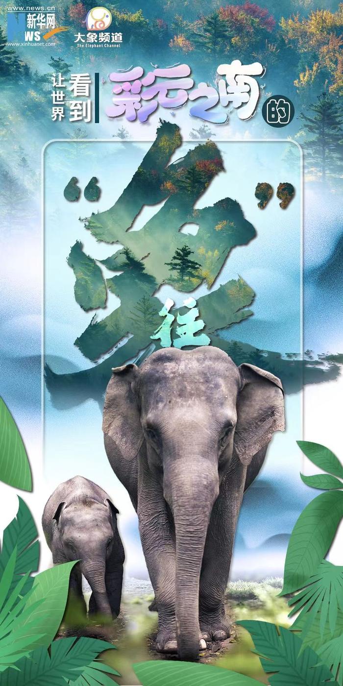 象游游最新現(xiàn)象，深度解析與觀點(diǎn)闡述