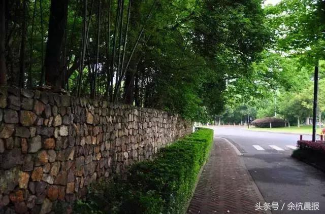 閑林最新規(guī)劃，家的溫馨與友情的交織紐帶