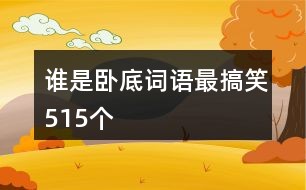 誰是臥底詞語最新搞笑風(fēng)潮揭秘！