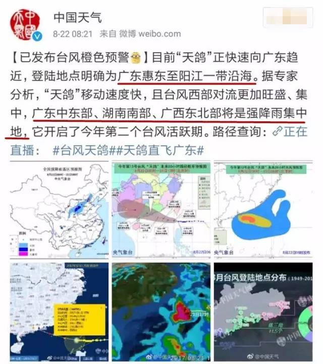 臺風天鴿最新動態(tài)，逆風翱翔，展現(xiàn)學習中的自信與成就之光